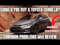 Should you buy a Toyota Corolla? Review and Common Problems