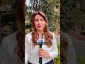 "Los voy a mandar al infierno": De la Espriella contra grupos armados