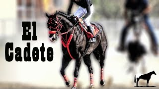 El De La Patita Blanca (Historia Del Cadete) 🐴-Del Cerro Soy