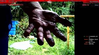 【開封枠】久しぶりの庭＆池掃除