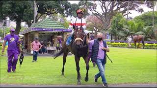 20220112 Hollywoodbets Greyville Race 1 won by BRISTOLBEAUFIGHTER