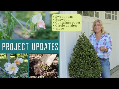 Видео: Кто такой нетерпеливый садовник?