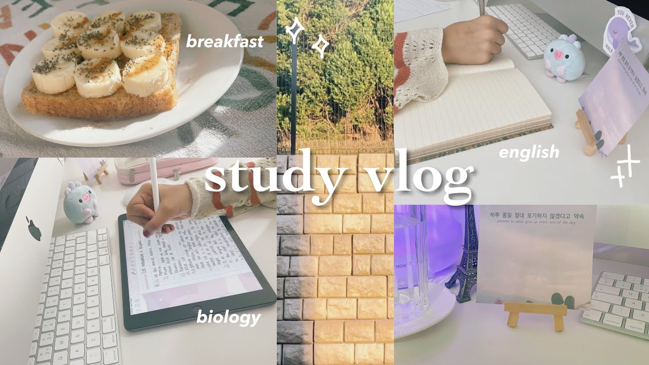 ⁺productive study vlog⁺ 🐰 chill and aesthetic