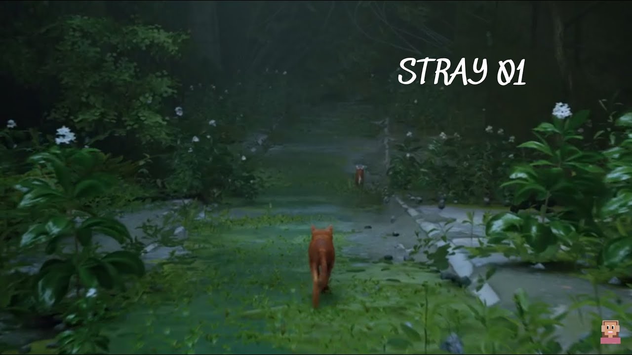 alanzoka jogando Stray, o jogo do gato - #1 