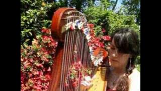 Bring me to life - EVANESCENCE - harpe/harp