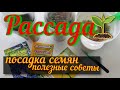 🌱Рассада🌱  полезные советы🌿посадка в гидрогель, мини  парник