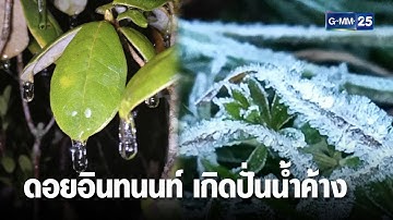 “ดอยอินทนนท์” หนาวจัดเกิด “ปั่นน้ำค้าง”  | เกาะข่าวเที่ยง | GMM25
