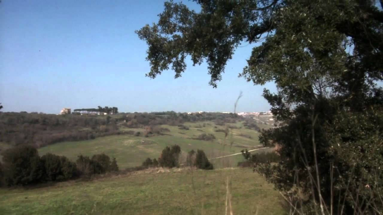 Canon Take Stories | EOS-1D | Tuscania #1