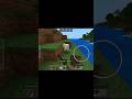 chickens ko maar Diya 💀#minecraft #shortsviral #shorts