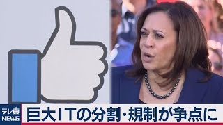 米大統領選 巨大 I Tの分割・規制が争点に