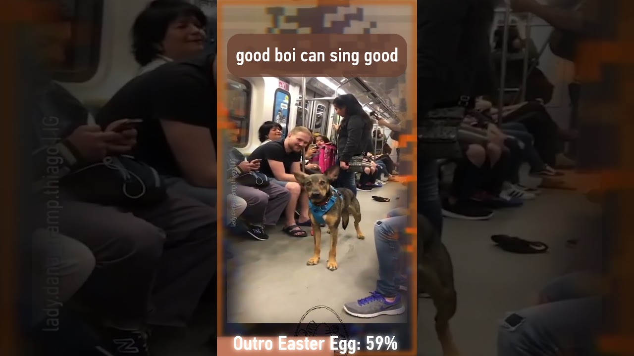 I can sing real good #singing #vibes #fyp #pets #dogs #wholesome #relateable
