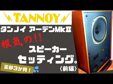 スピーカー・ウーファー Tannoy 3828 Tannoy MK2 Arden 3828 Dual Concentric Integrated