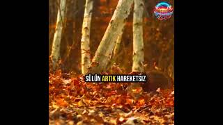 Şahi̇ni̇n İnanilmaz Pençe Saldirilari