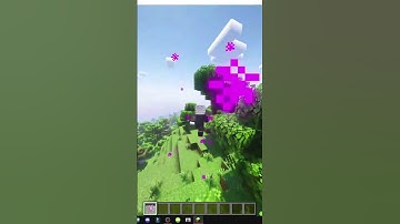 HOW TO USE THE TWISTED MIRROR IN ENIGMATIC LEGACY MINECRAFT