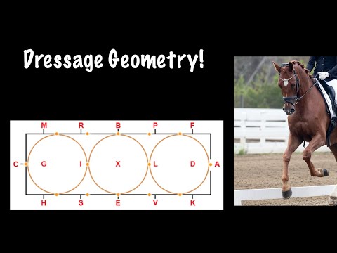 Dressage Geometry Ride An Accurate 20m Circle