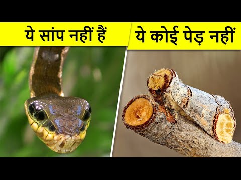 वीडियो: मुखौटे के पीछे क्या छिपा है?