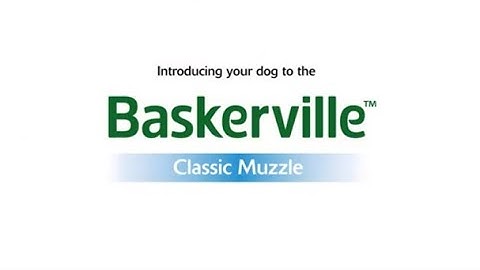 How to Introduce the Baskerville Classic Muzzle to your dog