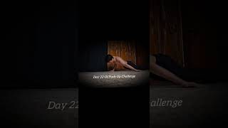 Day 22 Of Push-Up Challenge #gym #workout #training #fitness #fightermindset #grind #discipline