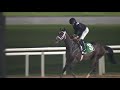 2/12/21 - Race 6: Ras Al Khaimah Sponsored By Support Forces Conditions Stakes