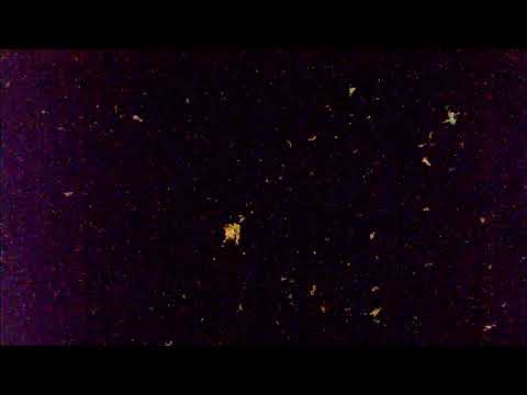 Some video footage from the ISS (Space Junk?)