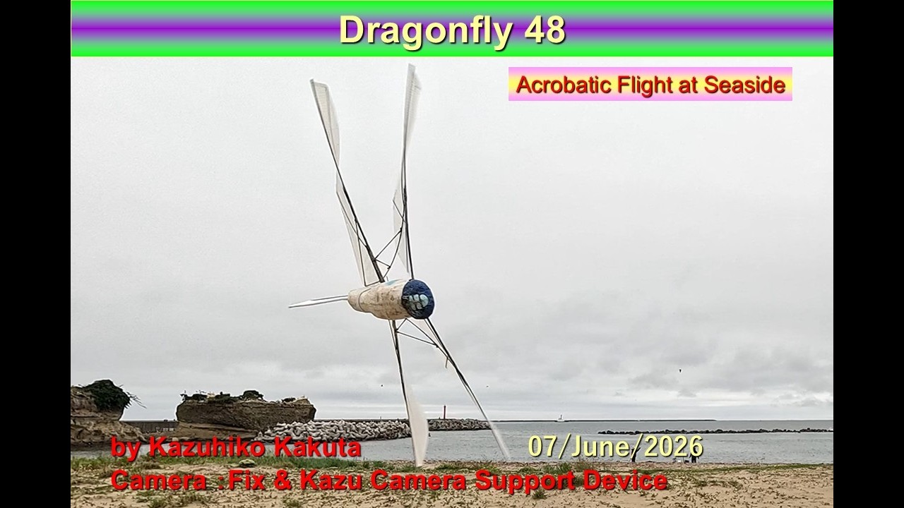 トンボ型羽ばたき機 Dragonfly48 120g:Acrobatic Flight at Seaside