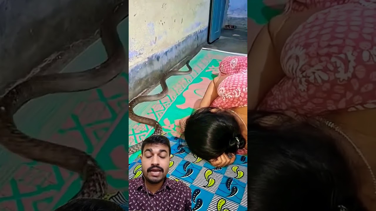 Safety Starts With Snake Awareness 