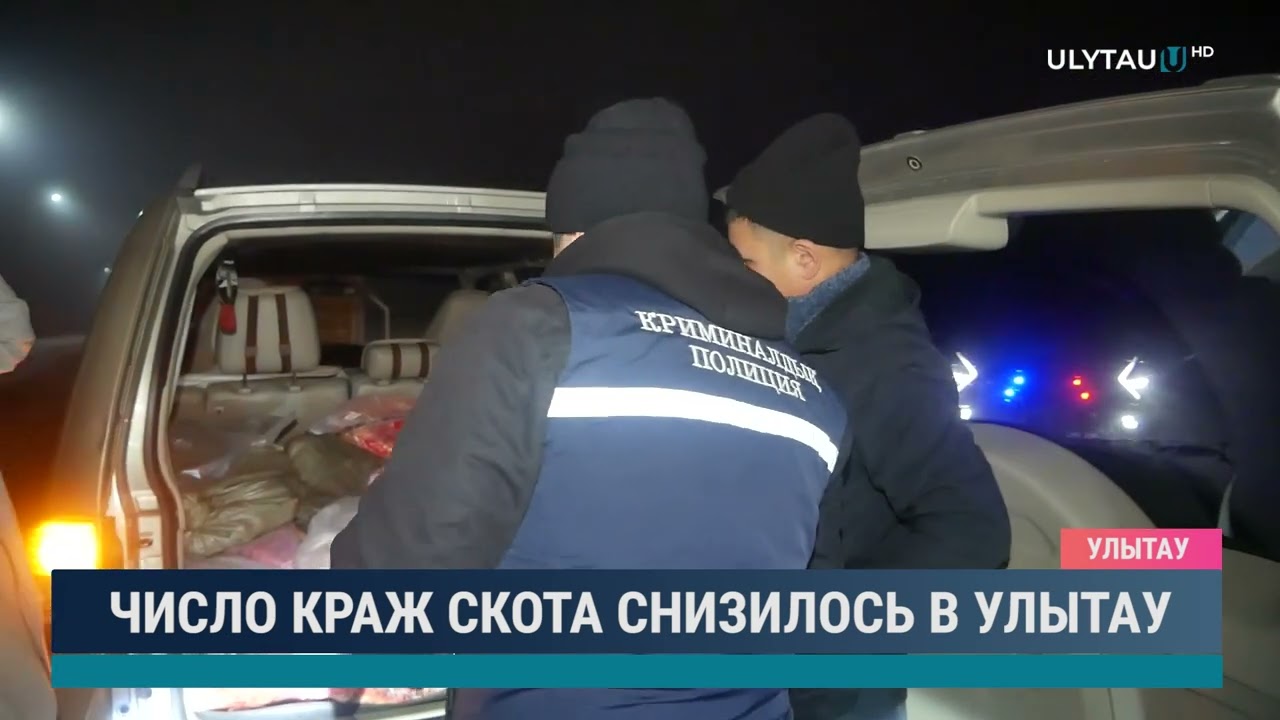 Число краж скота снизилось в Улытау