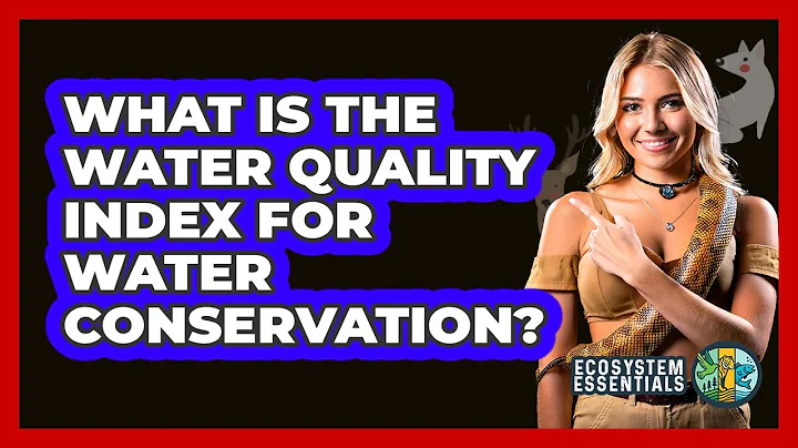 What Is The Water Quality Index For Water Conservation? - Ecosystem Essentials