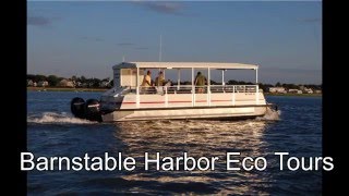 Barnstable Eco Tours