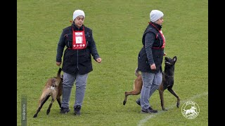Julius Canis Cral IGP 1 obedience 95