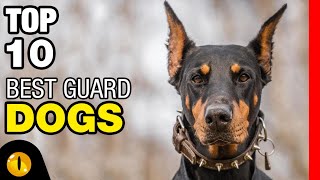 TOP 10 BEST GUARD DOG BREEDS