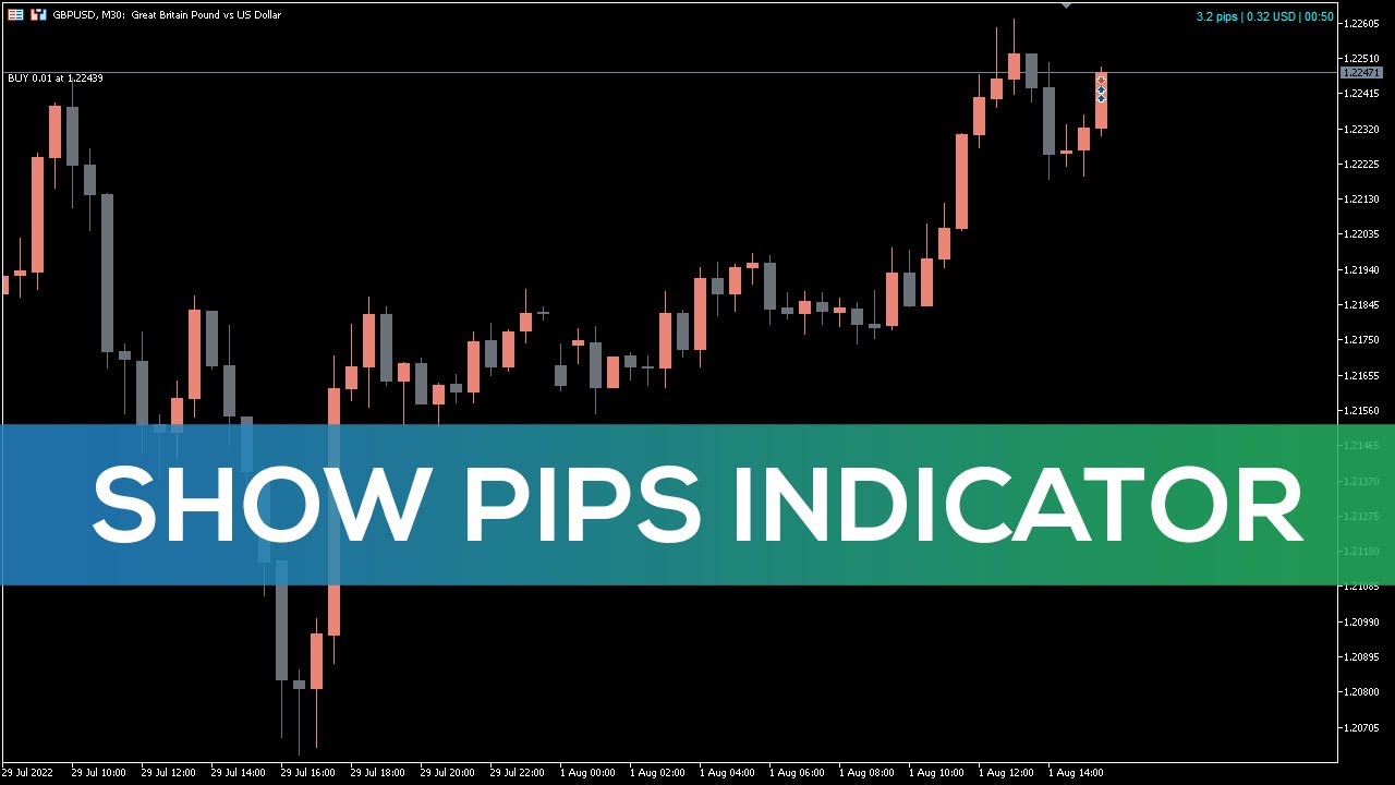 Show Pips Indicator For Mt5 Best Review Youtube