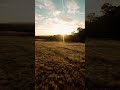 Longleat sunset