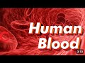 HUMAN BLOOD|# RBC#WBC#PLASMA#PLATELETS| Learn with aashu