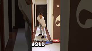 How to Kill Black Mold Safely & Forever (Mold Testing Potomac Maryland)