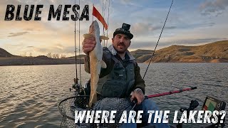 We Came For Giant Lake Trout…. This Happened Instead
