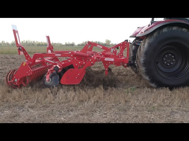 Guarda il video
