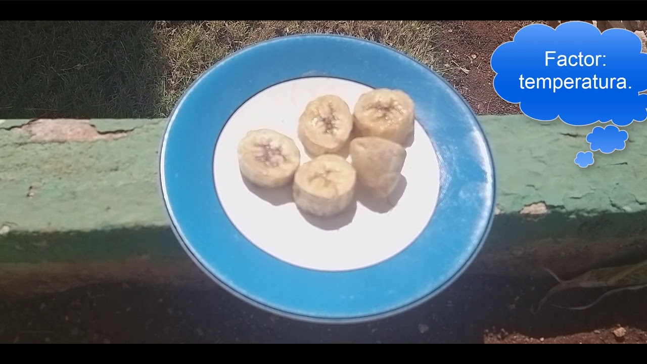 Pardeamiento enzimático del plátano.