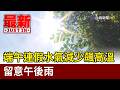 端午連假水氣減少飆高溫 留意午後雨【最新快訊】