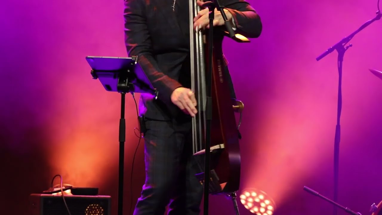 #chris Minh Donky#taastrup #sting #søster måne