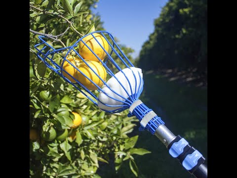 EVERSPROUT 13 Foot Fruit Picker Preassembled, Easy to Attach Twist On Basket