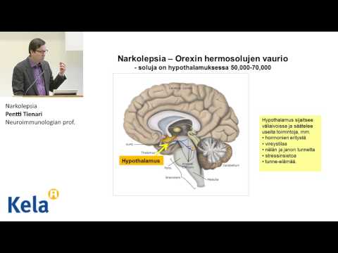 Video: Narkolepsian Syyt: Genetiikka, Autoimmuuni Ja Muut