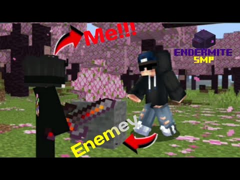How my Enemy destroyed my base in this Minecraft smp | the Endermite ...