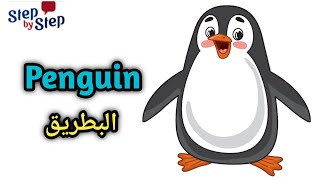 نطق كلمة Penguin   البطريق 🗣️ #إزاي_تنطقها_صح ✔️