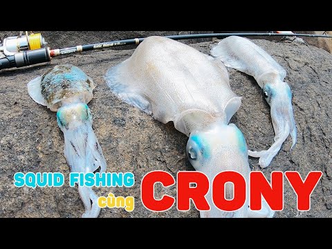 SQUID FISHING CÙNG CRONY | VIETNAM FISHING