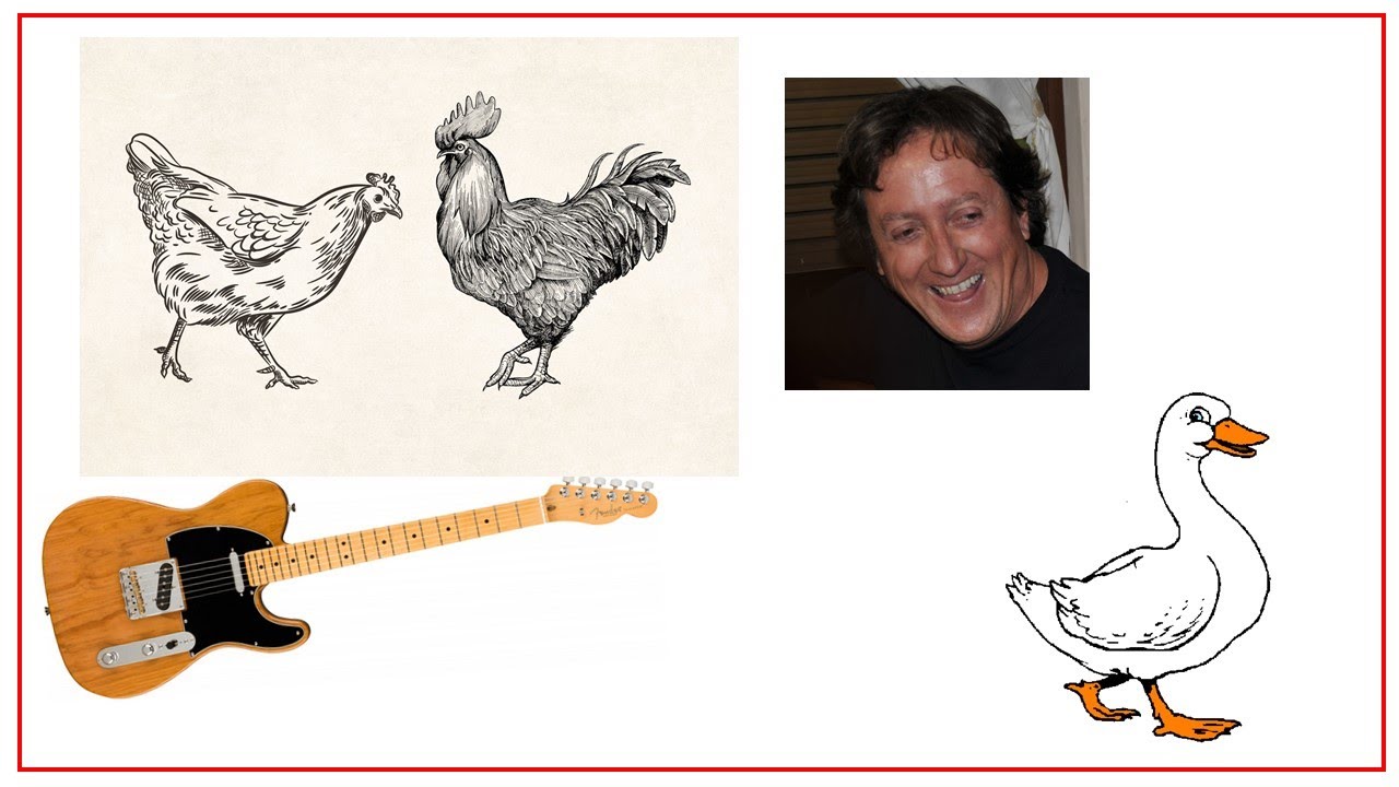 Il gallo e la gallina - YouTube