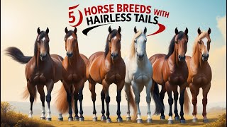 5 Horse Breeds With Hairless Tails #theamazinganimalchannel #horsebreeds #horsebred #hairless #tails
