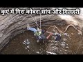 खतरनाक रेस्क्यू ऑपरेशन | Rescue cobra snake and Squirrels in the well from Ahmednagar, maharashtra