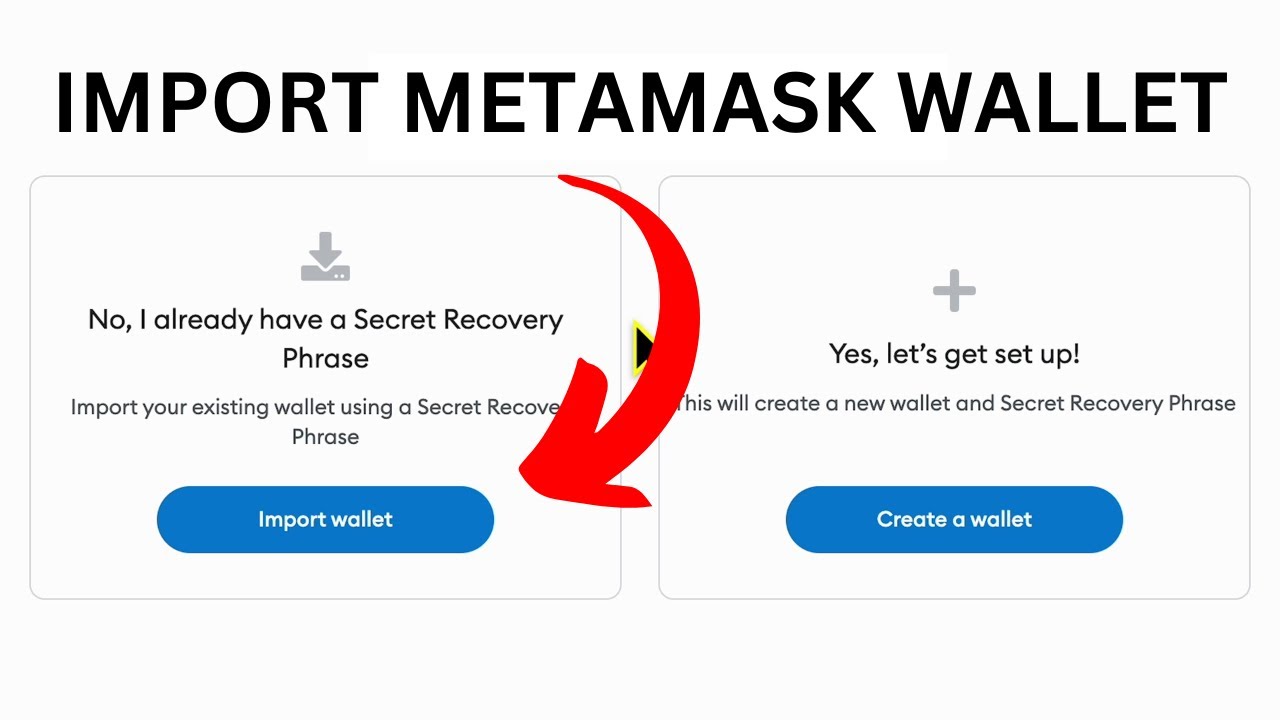 metamask import seed