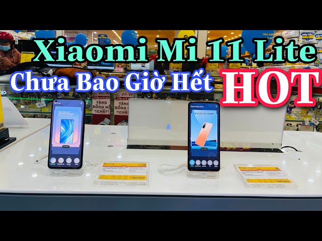 Xiaomi Mi 11 Lite tại THẾ GIỚI DI ĐỘNG - Cập Nhật Giá Mới Nhất Hôm Nay | QuyenGBox